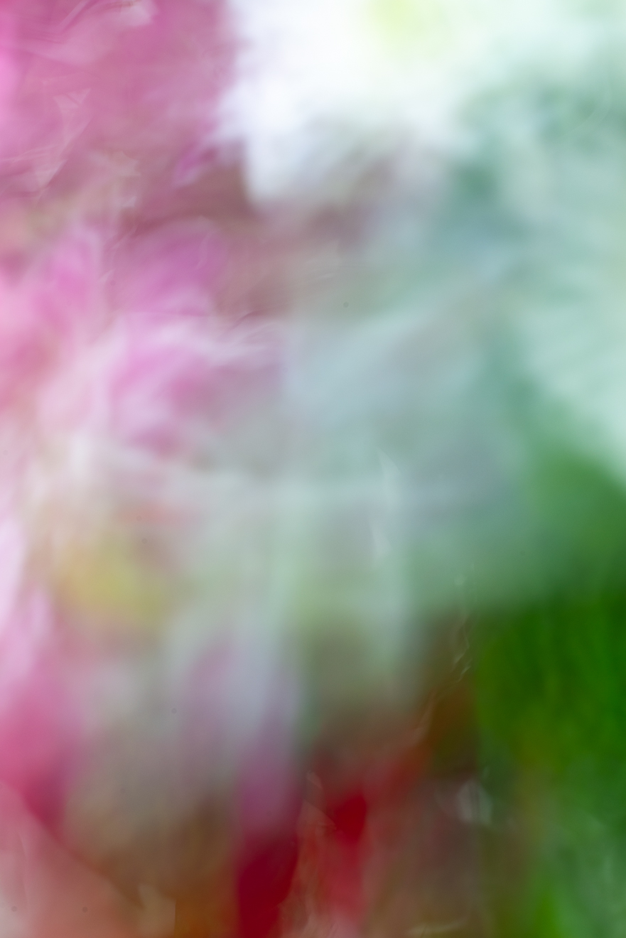 Biochemistry photograph by GK3000