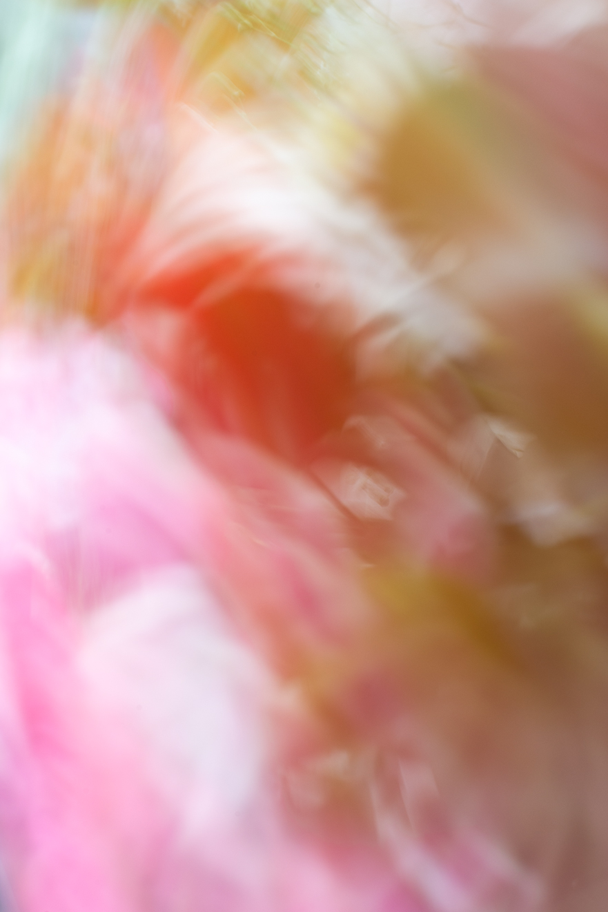 Biochemistry photograph by GK3000