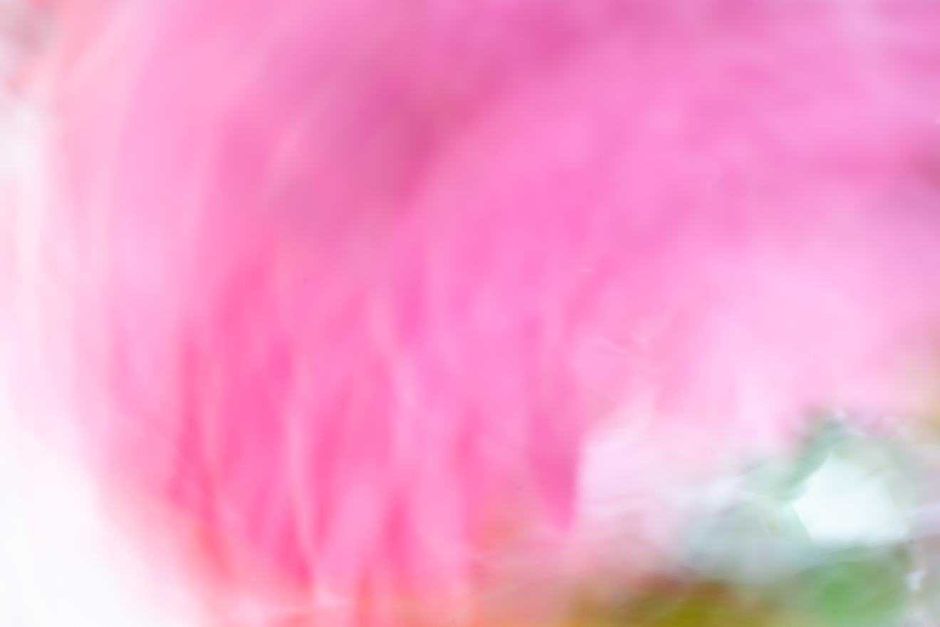 Biochemistry photograph by GK3000