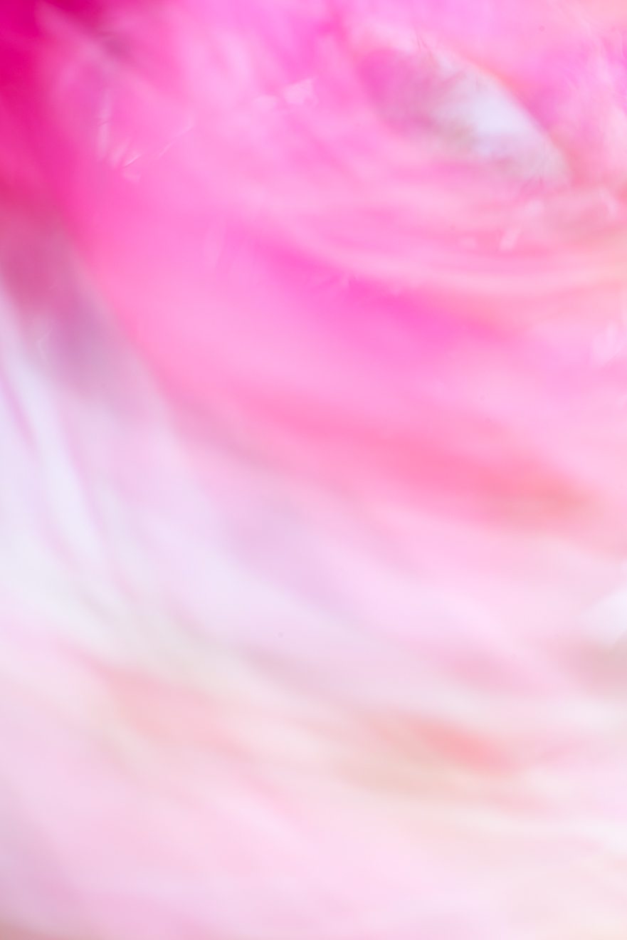 Biochemistry photograph by GK3000