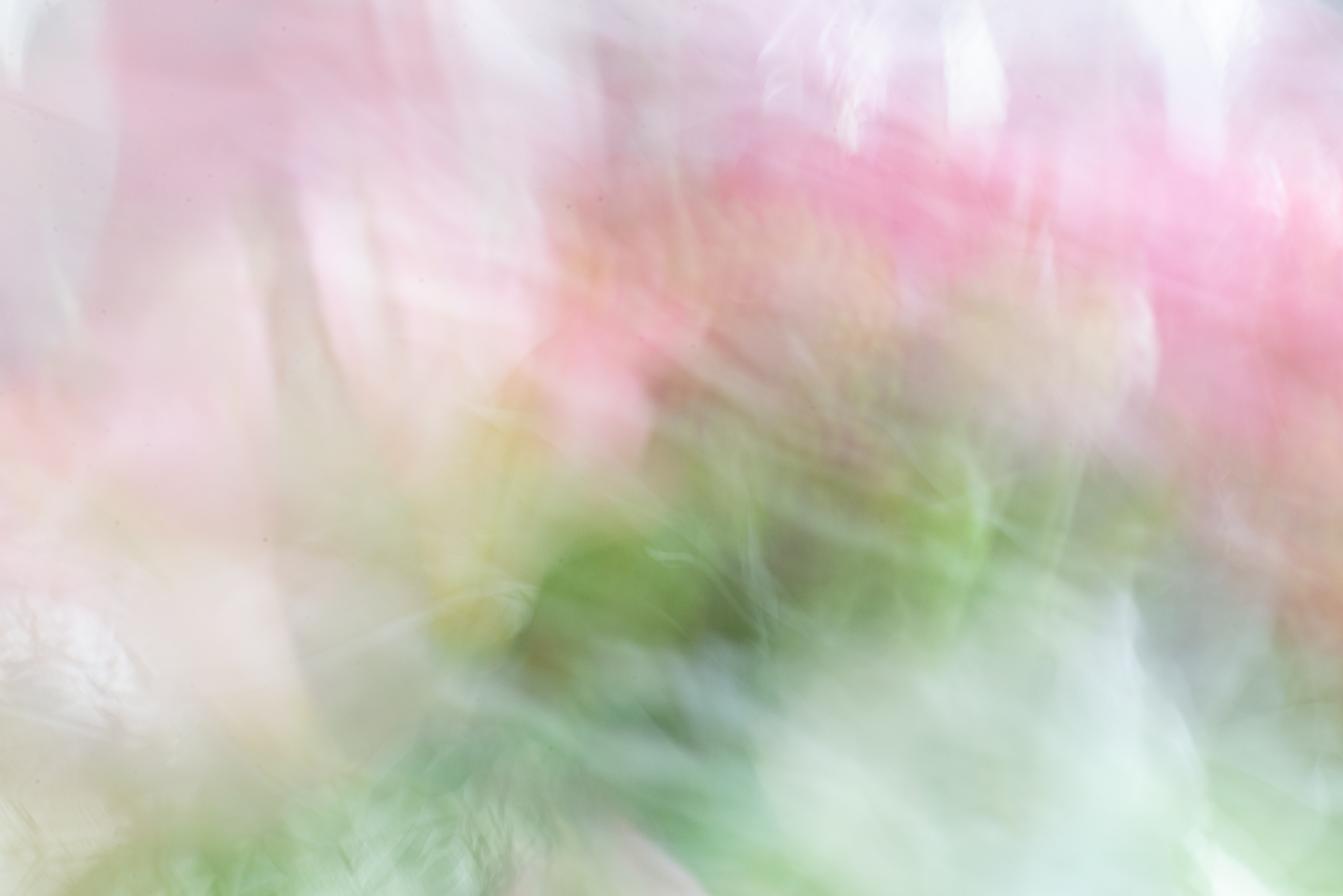 Biochemistry photograph by GK3000