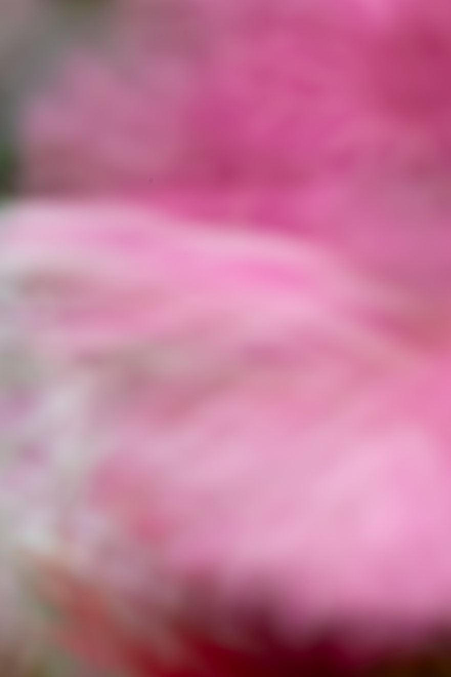 Biochemistry photograph by GK3000