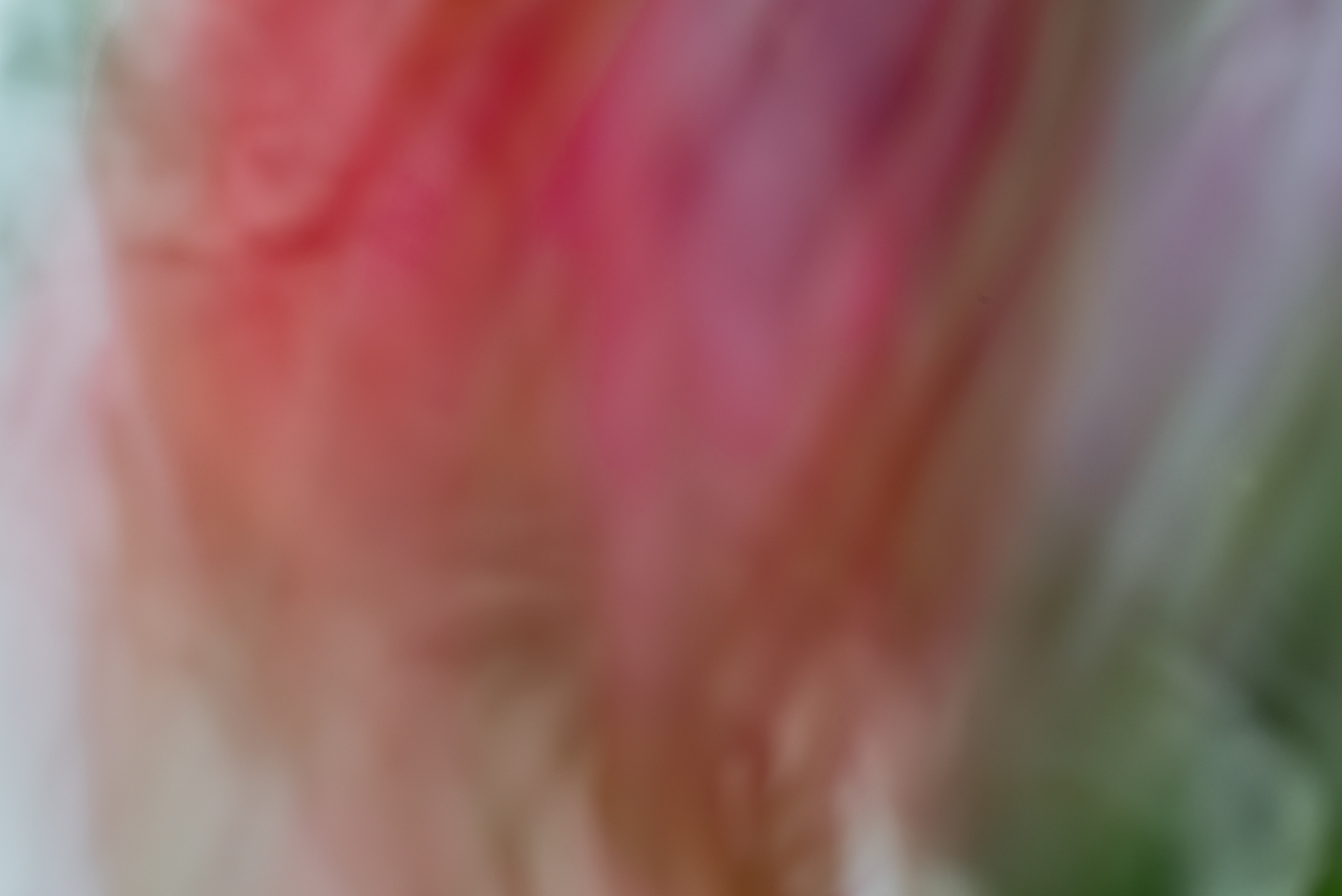 Biochemistry photograph by GK3000