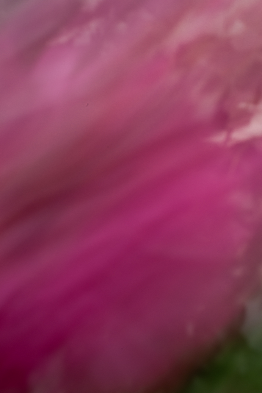 Biochemistry photograph by GK3000