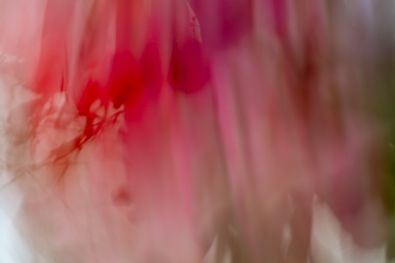 Biochemistry photograph by GK3000