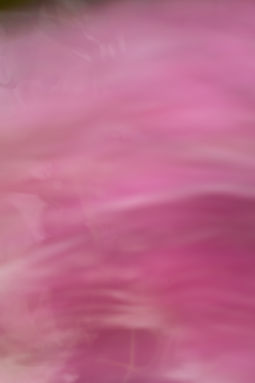 Biochemistry photograph by GK3000