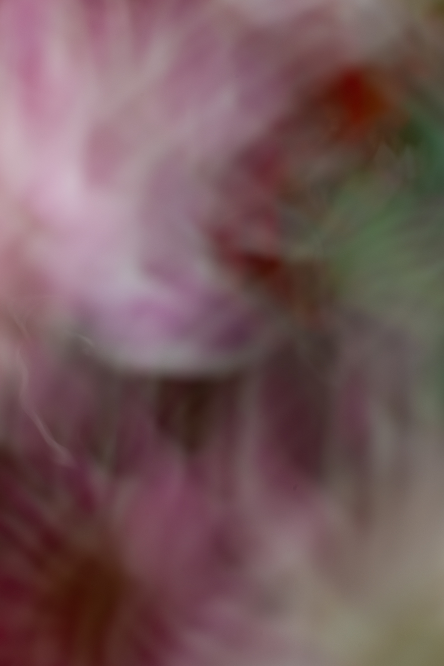 Biochemistry photograph by GK3000