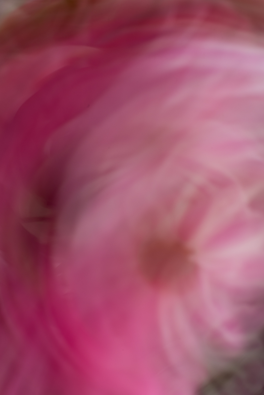 Biochemistry photograph by GK3000