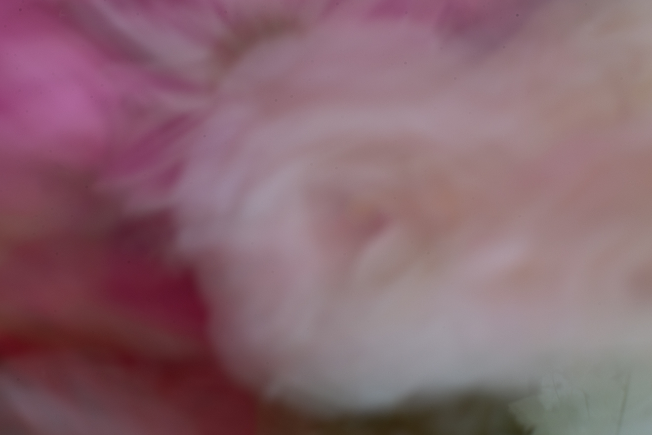 Biochemistry photograph by GK3000