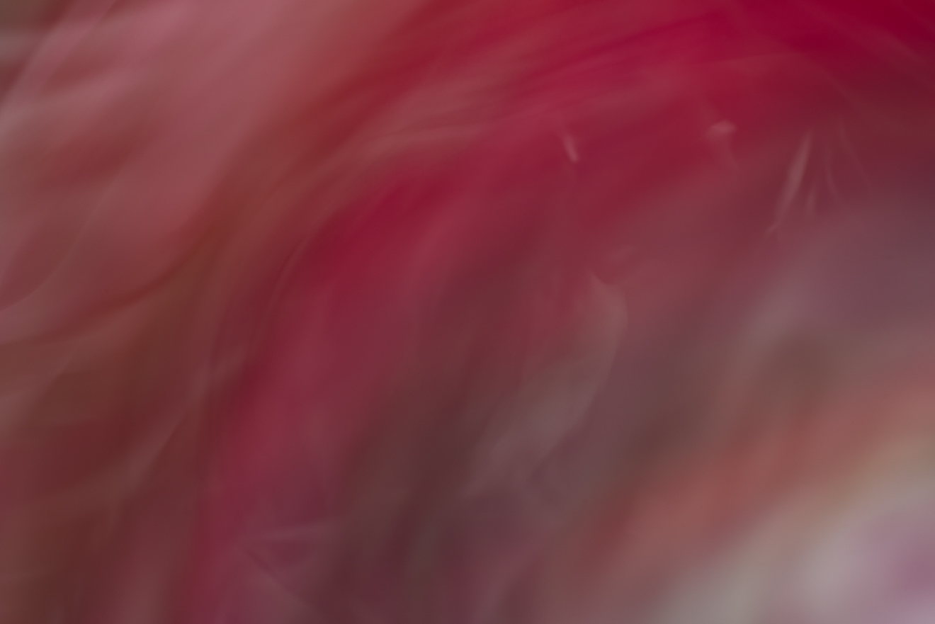 Biochemistry photograph by GK3000