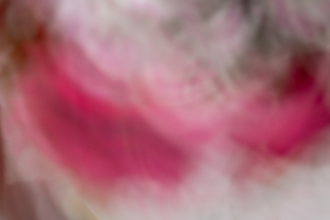 Biochemistry photograph by GK3000