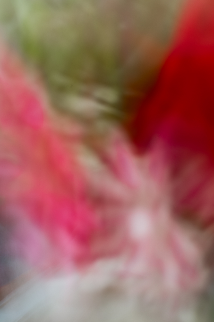 Biochemistry photograph by GK3000