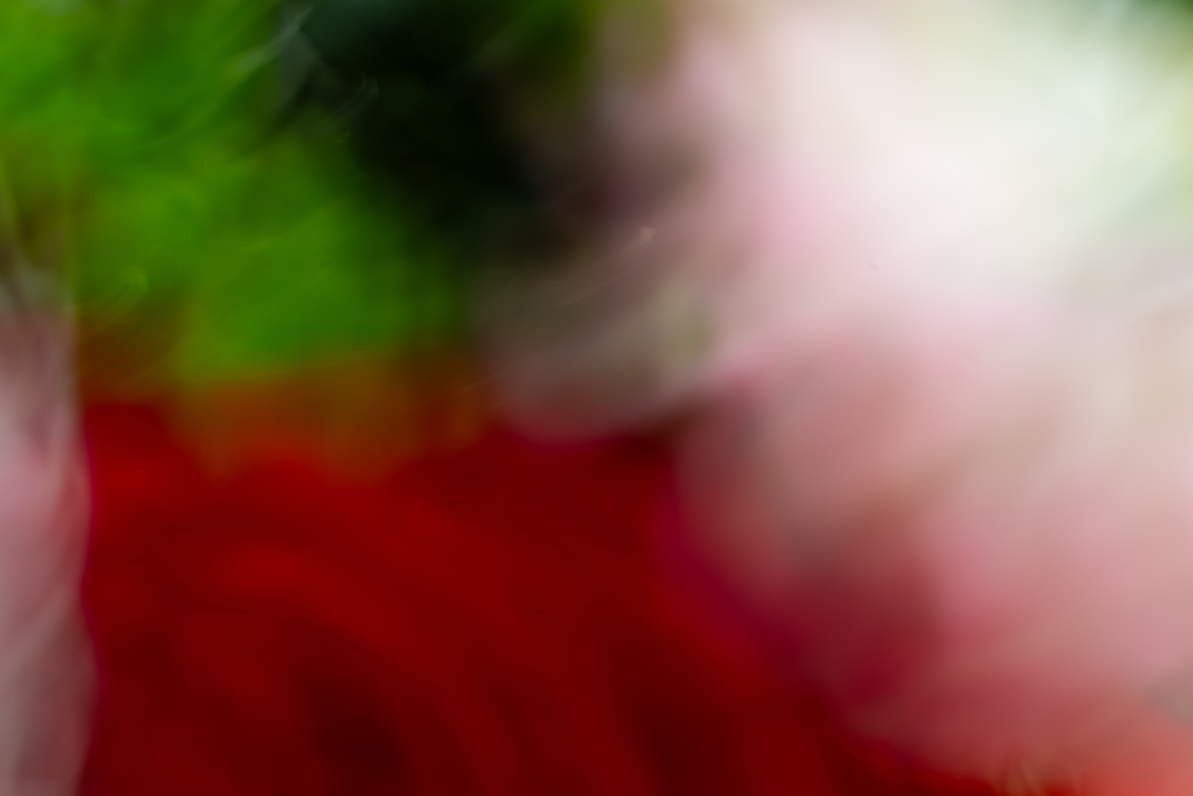 Biochemistry photograph by GK3000