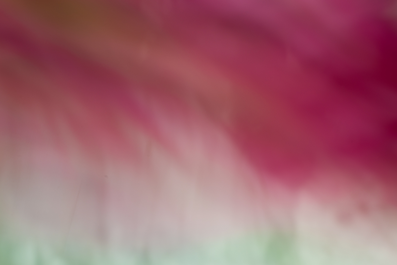 Biochemistry photograph by GK3000