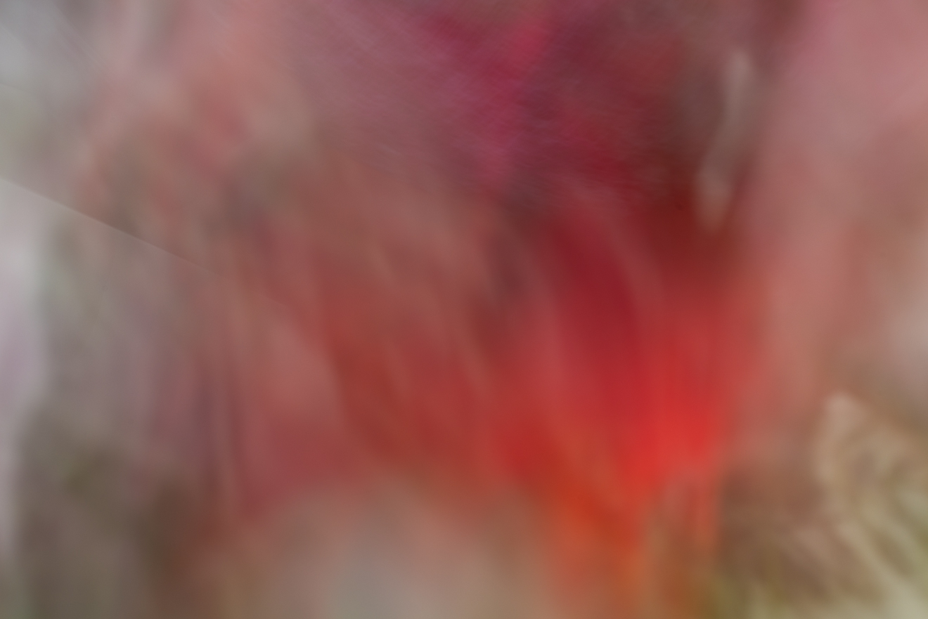 Biochemistry photograph by GK3000