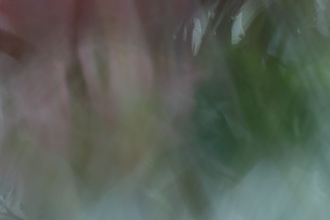 Biochemistry photograph by GK3000