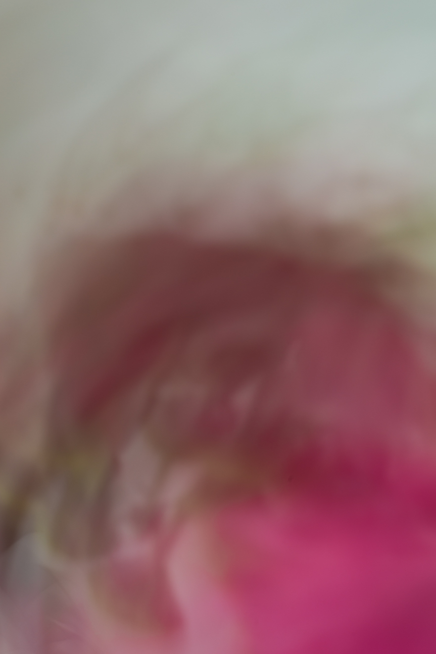 Biochemistry photograph by GK3000