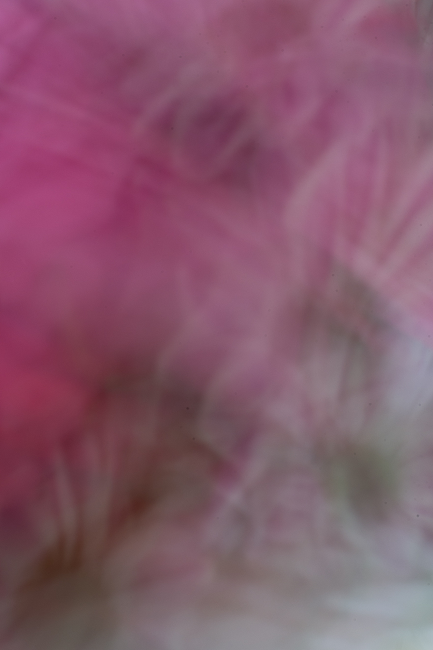 Biochemistry photograph by GK3000