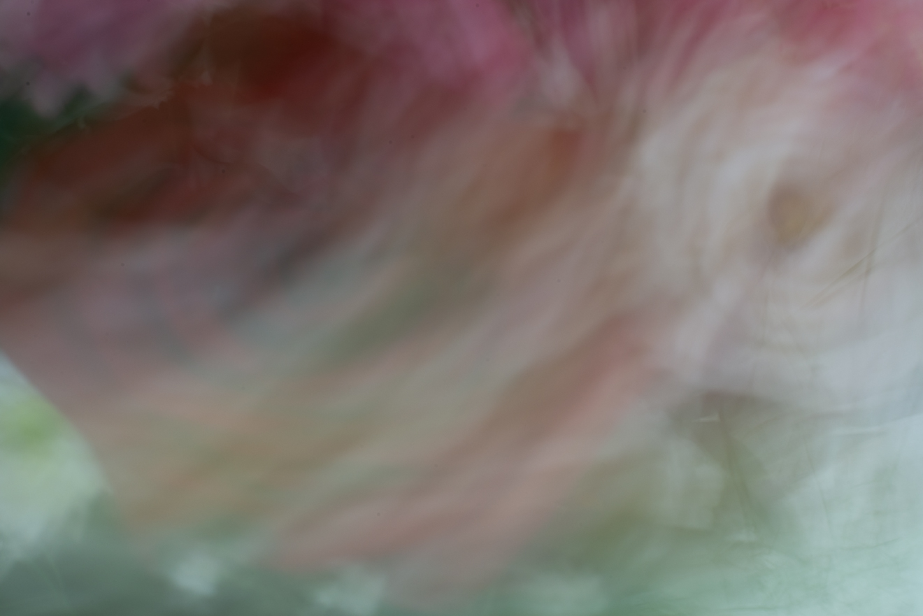 Biochemistry photograph by GK3000