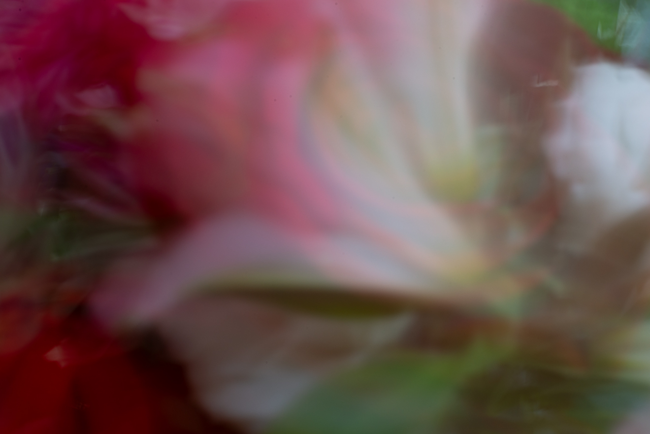 Biochemistry photograph by GK3000