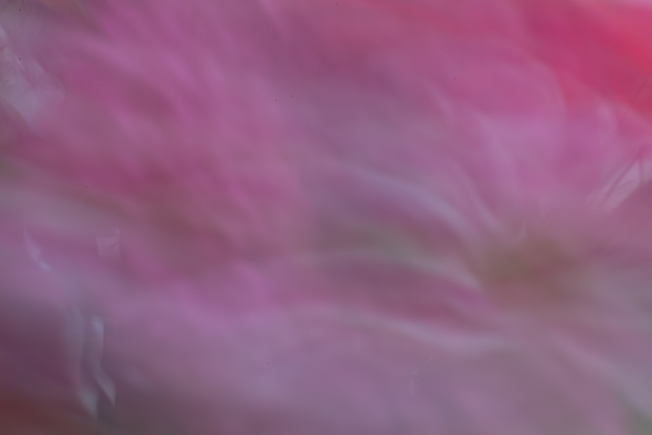 Biochemistry photograph by GK3000