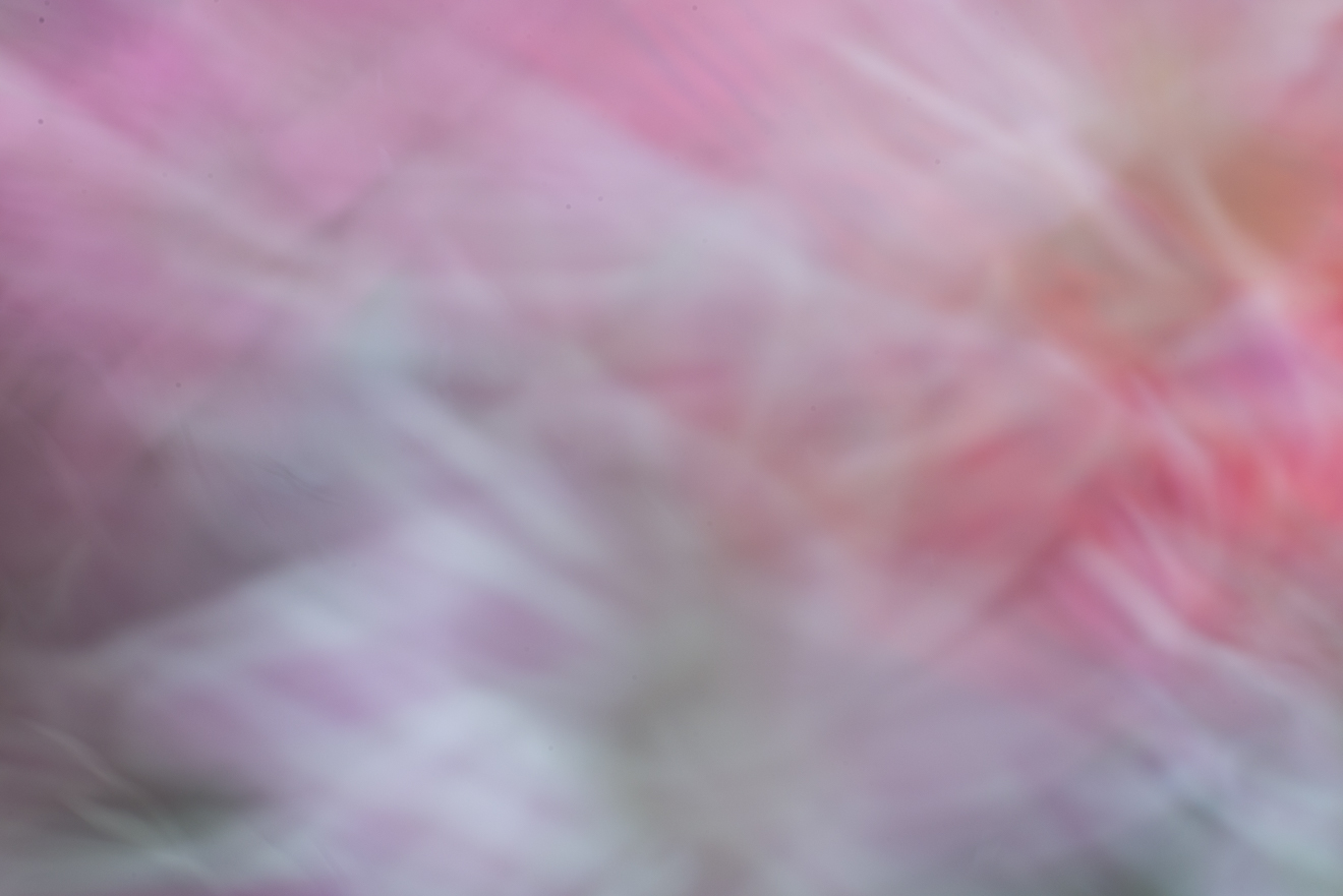 Biochemistry photograph by GK3000