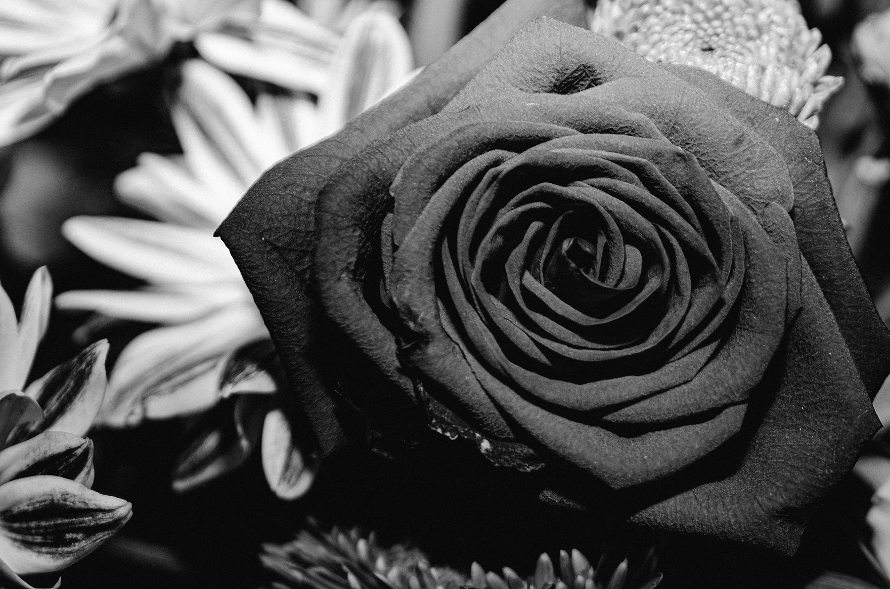 Decay photograph by GK3000 / photographer in barcelona, fotografo en barcelona