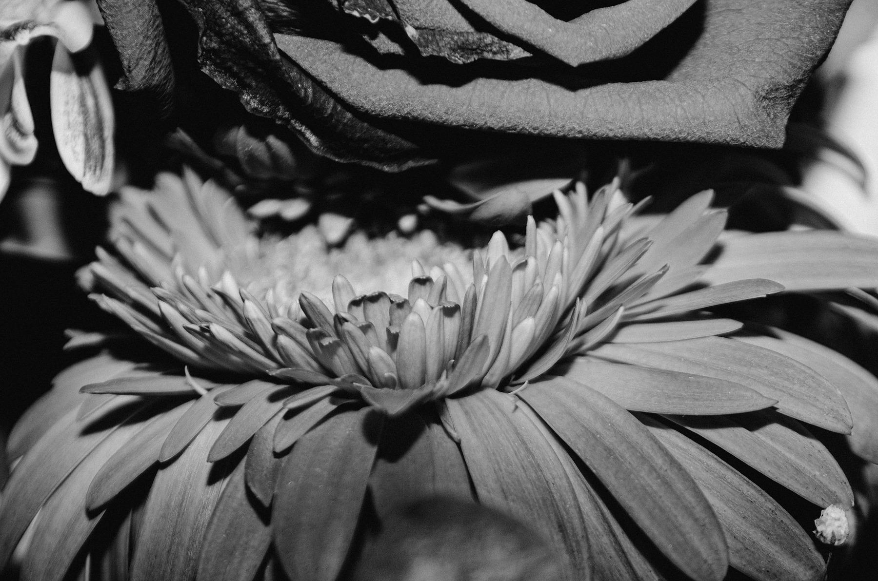 Decay photograph by GK3000 / photographer in barcelona, fotografo en barcelona