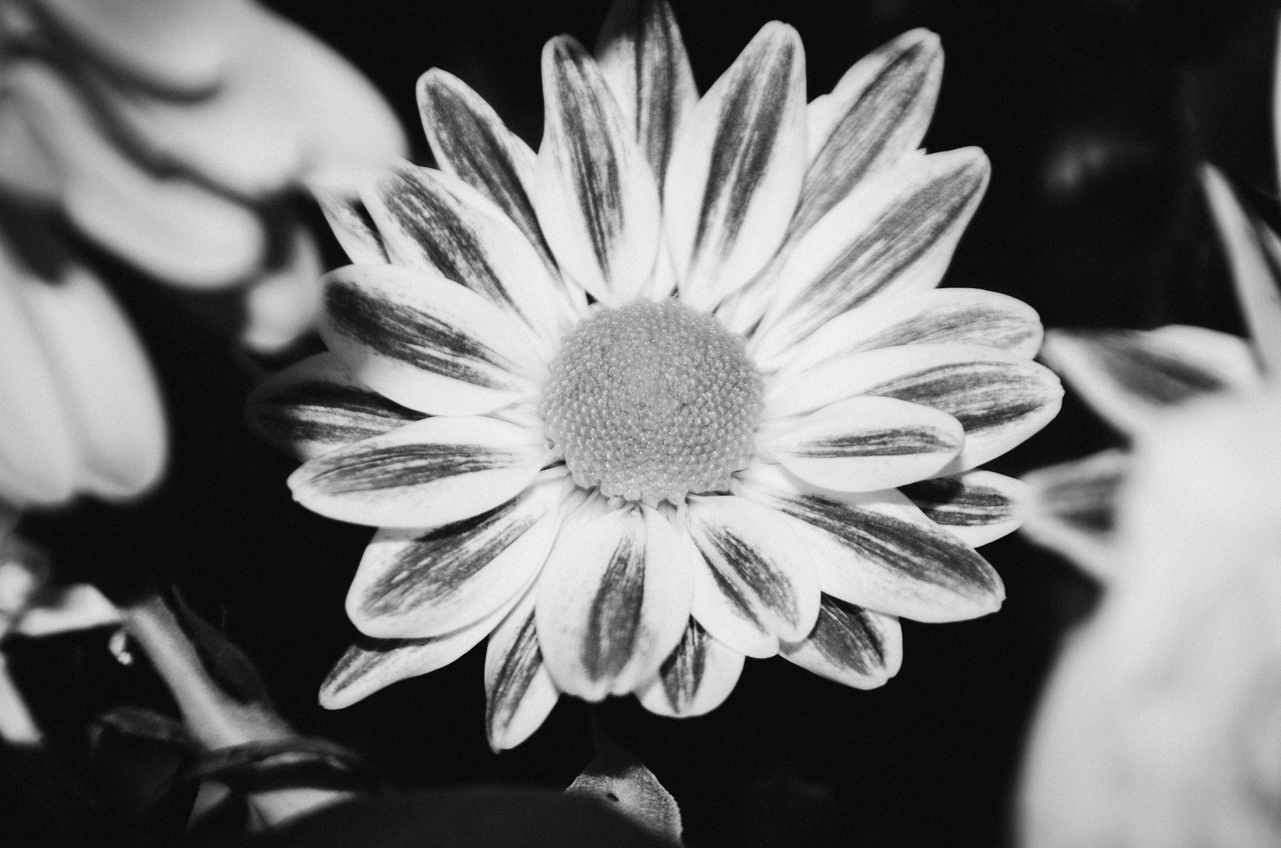 Decay photograph by GK3000 / photographer in barcelona, fotografo en barcelona