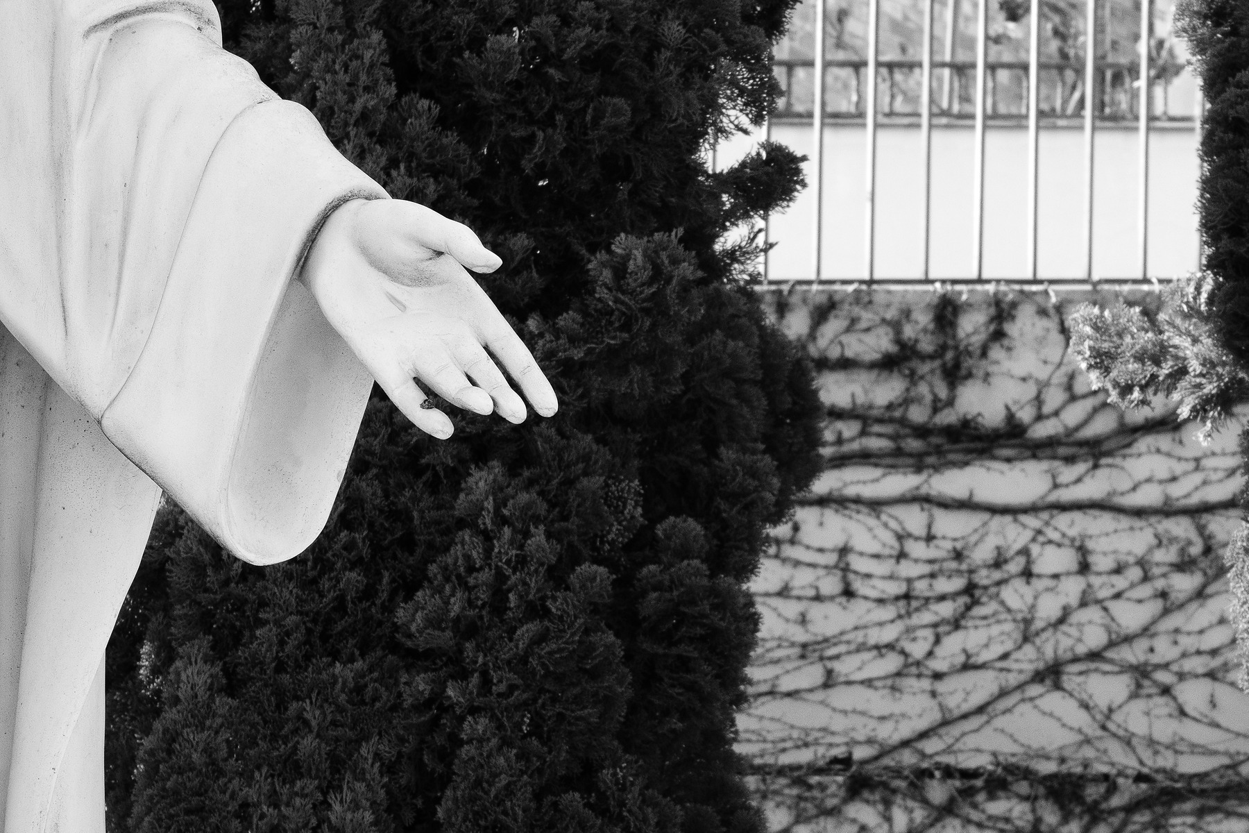 Show Me The Light photograph by GK3000 / photographer in barcelona, fotografo en barcelona