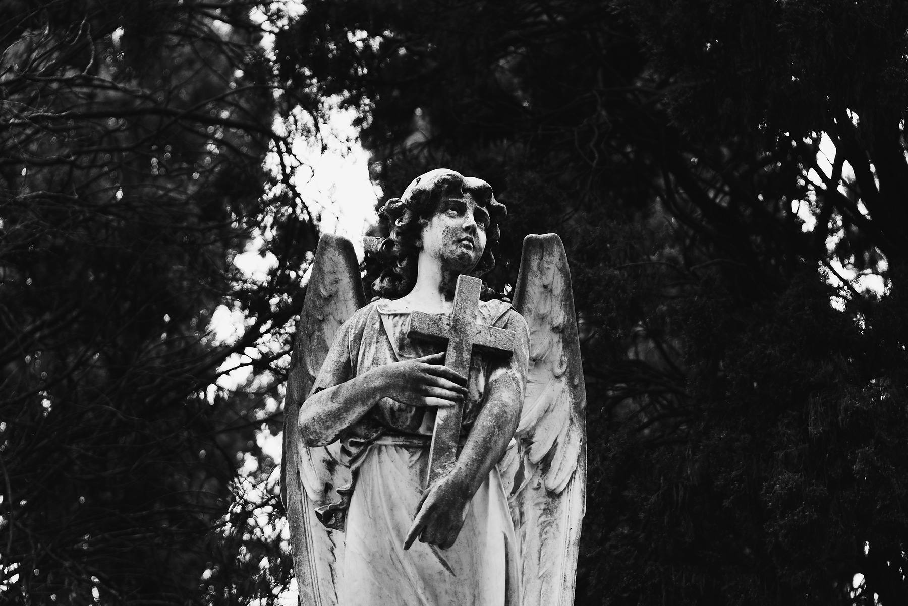 Show Me The Light photograph by GK3000 / photographer in barcelona, fotografo en barcelona