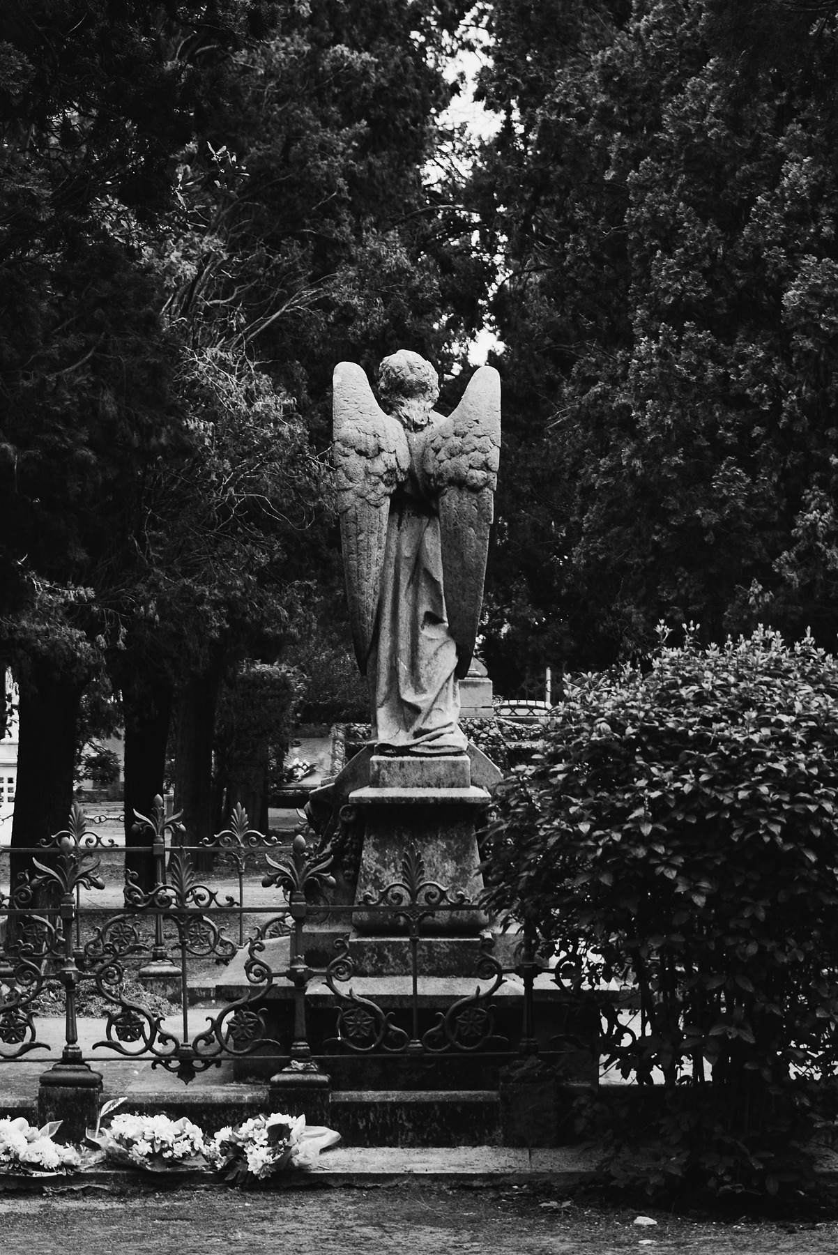 Show Me The Light photograph by GK3000 / photographer in barcelona, fotografo en barcelona