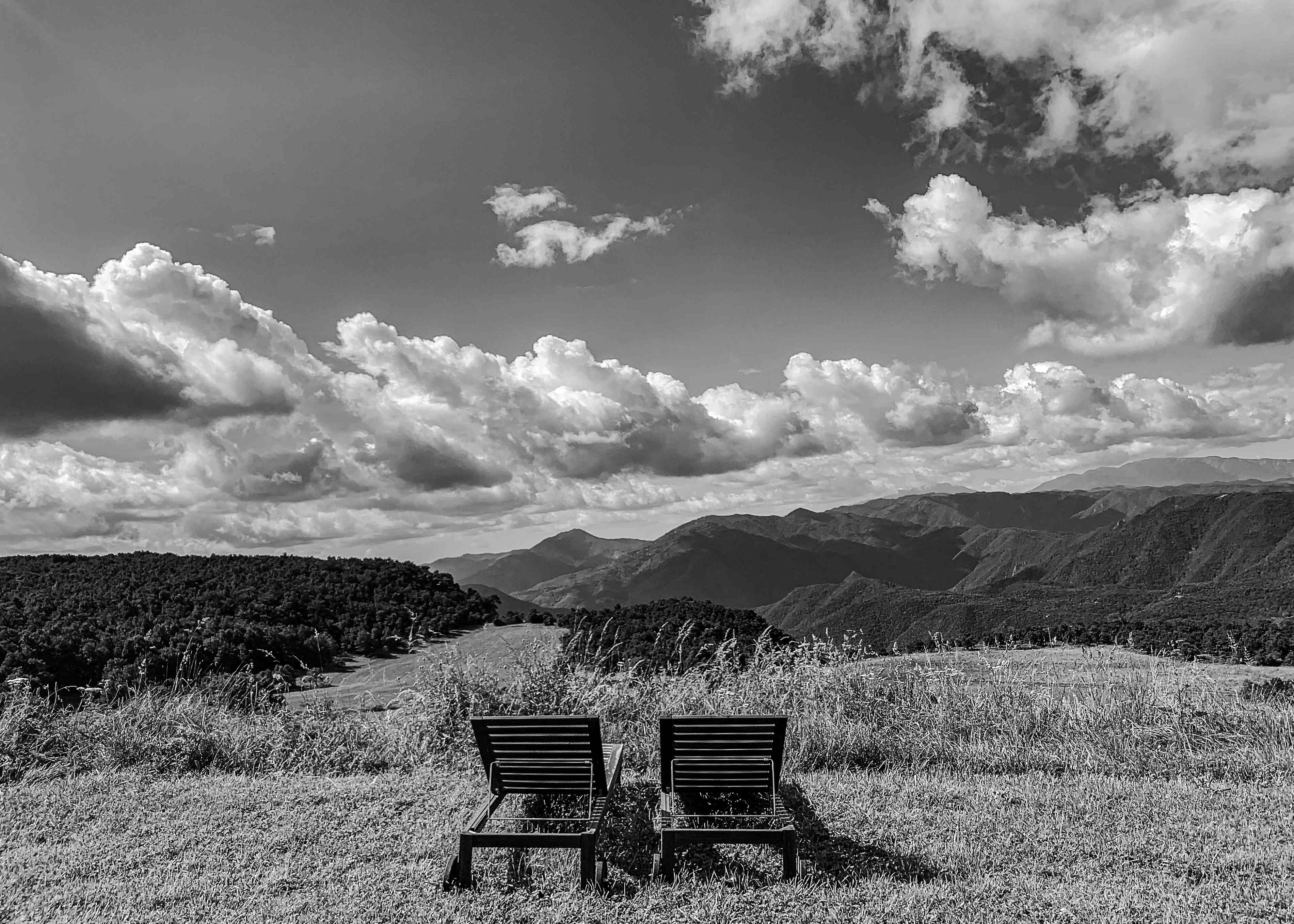 Lonely souls photograph by GK3000